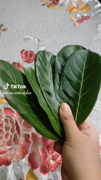 Leaf Skeleton Art Tutorial: Create Stunning Decor