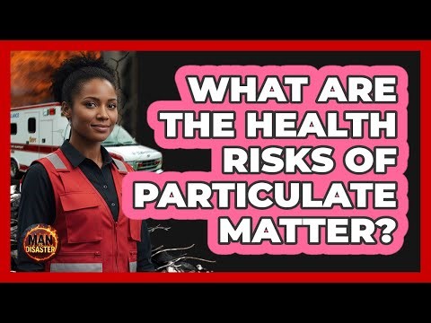What Are The Health Risks Of Particulate Matter?
