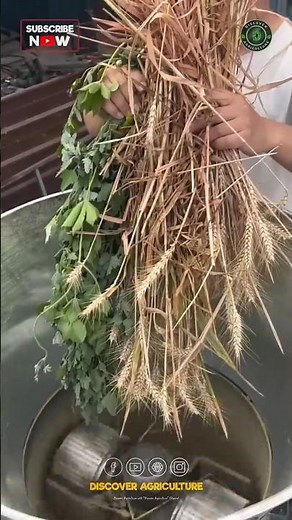 Amazing Pellet Feed Making Machine 😱