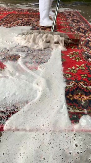 #satisfying #carpetcleaning #asmr