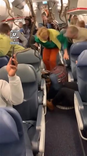 472K views · 286 reactions | How did snakes get on our plane?!  #snakes #travel #airplane | UNILAD Adventure | Facebook