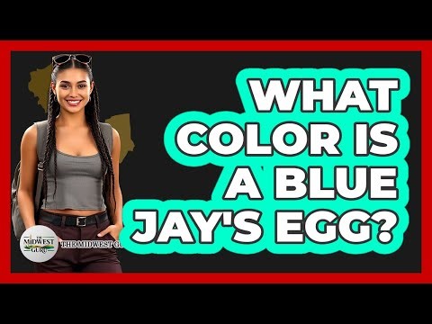 What Color Is A Blue Jay's Egg?