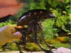 223K views · 7.5K reactions | Kenner's Aliens vs. Predator action figures were overachievers, expanding on the movies' lore with hyper-specific beasts based on everything from praying mantises to hot lava. (You may also remember them from KB Toys' famous 3-for-$10 sales!) | Dinosaur Dracula | Facebook