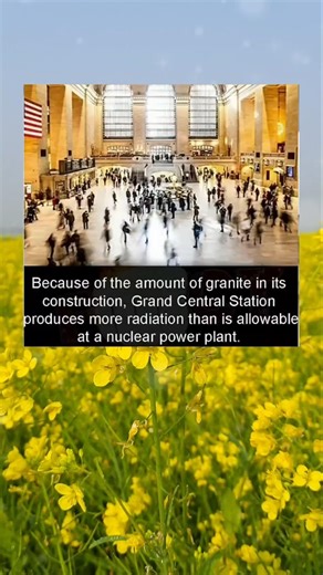 Becouse of the amount of graniti