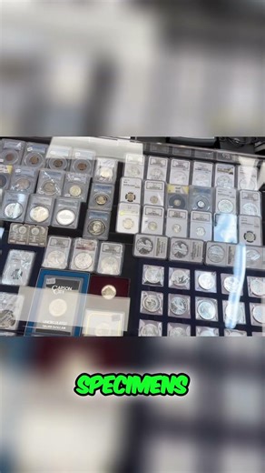 Score Rare Coins & Best Deals at Local Coin Shows! #shorts