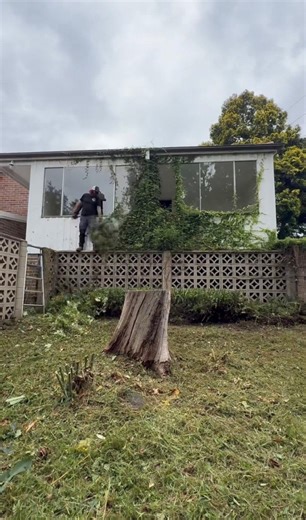 The yard took ovehe house. What do you think of this one legends? | Nathans Lawns and Gardens