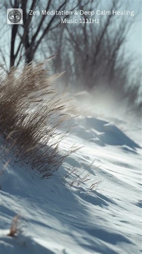 Zen Meditation & Deep Calm Healing Music 1111Hz – Relaxing Handpan & Emotional Balance