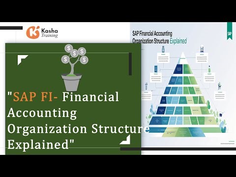 "SAP Financial Accounting Organization Structure Explained"🌞 🌙