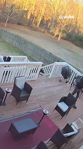 Never let them know your next move. | Vivint