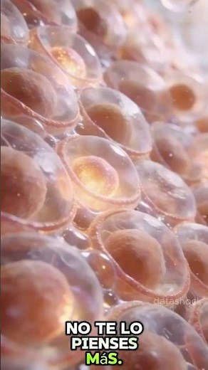 What are cells?
