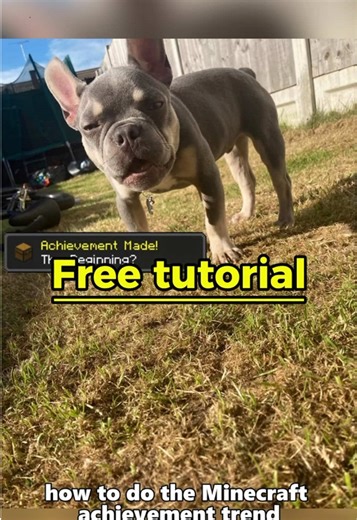 how did we get here achievement how did we get here achievement bedrock how did we get here achievement dexter how did we get here achievement dog how did we get here achievement edit how did we get here achievement meaning how did we get here achievement meme how did we get here achievement minecraft how did we get here achievement overlay how did we get here achievement sticker achievement best friends achievement made achievement made best friends forever achievement made the end achievement 