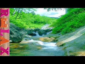 【痛みを和らげる波動α波♪疲労回復セラピー音楽】セラピーリラックスMV｜Original Therapy Relax Music Video #94