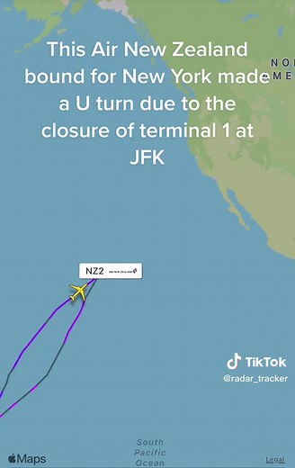 Air New Zealand Flight Diversion: JFK Terminal Closure