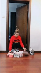 Exploring A Fruit Bowl—Tiny Puppy Among Apples & Oranges 🍎🐶 #TeacupAdventure