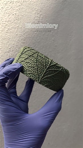 Biomorphism Exploration - Nervus Silvae