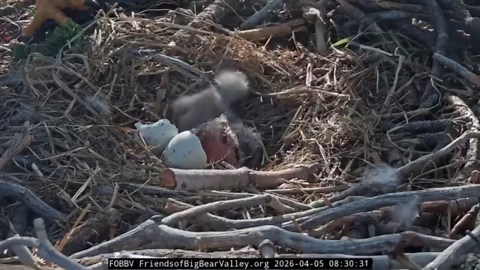 Stories from the front page of today's Tulsa World: March 31, 2026