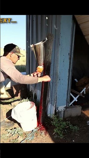 Processing Our Meat Chickens: Step-by-Step