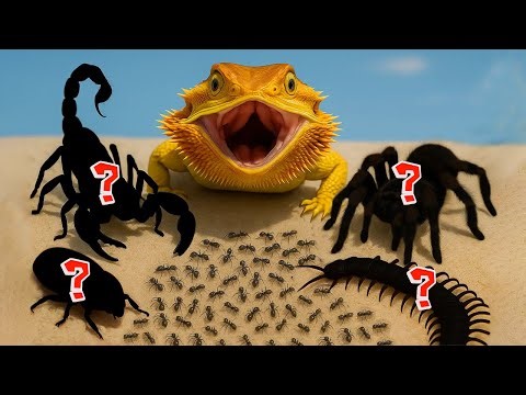 1,000 Black Ants Vs 1,000 Red Ants and 5 Deadly Predators | AntTrek's Simulation