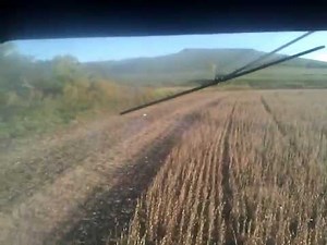 ih 1440 combining soybeans
