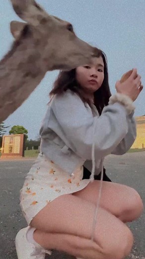 Originalton - bluespoetryを使っている@imyujiaa on IG (@imyujia)の動画
