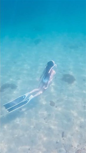 강원도 스노클링 삼척 갈남항 💙 #프리다이빙