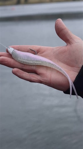 96K views · 407 reactions | We love seeing new products from our friends at basstrix_official Definitely going to have its place in the fishing industry酪 #scottsborotacklecompany #scottsborotackleco #lakeguntersville #tackleshop #basstrix #fishing #largemouthnation #smallmouthbass #bigbass #bassnation | Scottsboro Tackle Company | Facebook