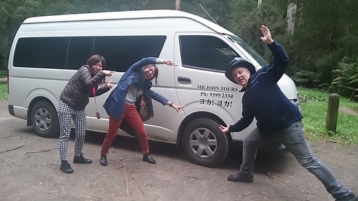 フィリップ島ペンギンパレードツアー | MR JOHN TOURS｜メルボルン 観光 ローカルガイド｜日本語ツアー旅行会社