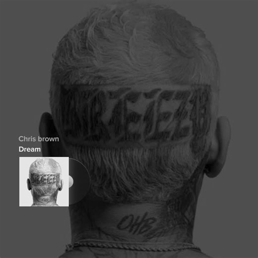 Chris Brown - Dream (Official Music Video)