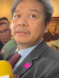 Alice Guo's Departure: Legal Insights from Atty. Stephen David
