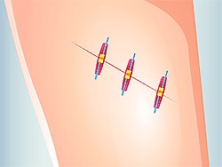 Play Funny Rescue Zookeeper Online For Free - Pog.com