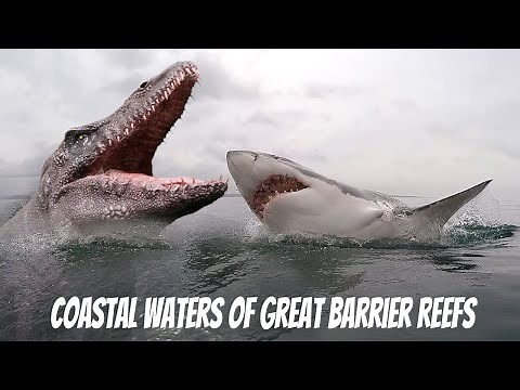 Mosasaurus vs Great White Shark at Great Barrier Reefs | Find Dinosaurs 360