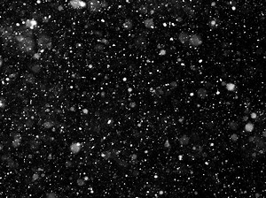 Here's How Much Snow Fell In Northfield Friday: NWS