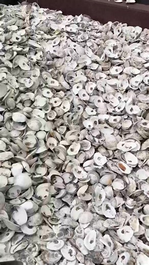 51K views · 192 reactions | Help us raise 1 million… oysters 寧 Bet...