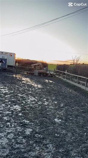 mollie (@mollieequine)’s videos with son original - ànesi