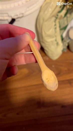 Wood carved a mini spoon just needs sanding