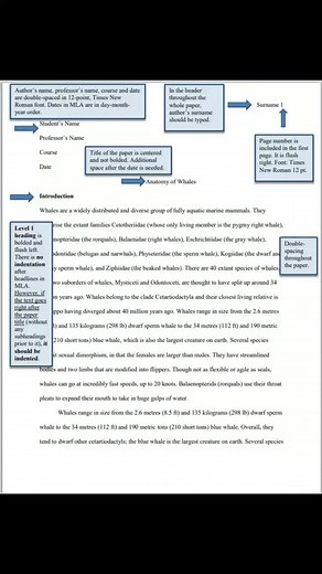Mastering MLA Reference Style for Your Essays