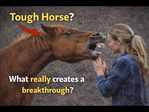 The SHOCKING Truth About Leading a Horse with Ease That Nobody Tells You