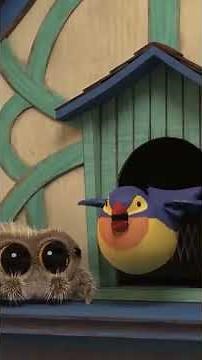 Anybody Home!?!? #lucasthespider #friends #kidsvideo