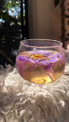 Introducing the Ancient Egyptian Blue Lotus Tea for Relaxation