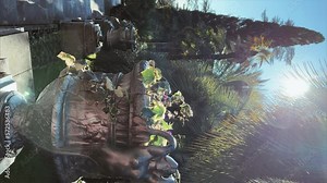 SOCHI, RUSSIA - January 2023: The territory of the park in the city of Sochi. View of palm trees and attractions in the arboretum. A sunny day at the Arboretum in Sochi.