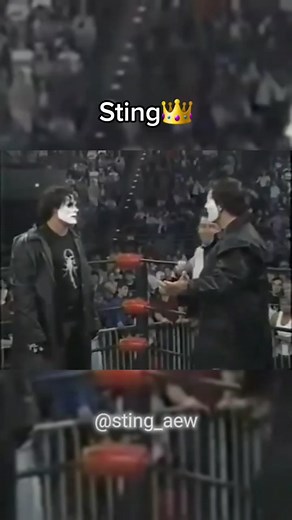 #Foryou#Sting#stingfan#scorpion#wresling#wreslingfan#aew#aewfan#wcw#wwf#wwe#wweraw#wwefan