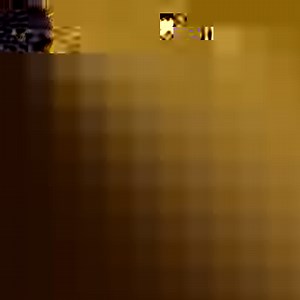 5.3K views · 178 reactions | Have you seen someone wearing the Sunflower? it simply means they have a disability that is not immediately apparent to you. They may need a helping hand, understanding or just more time. Making the invisible visible. Help us tell everyone by simply sharing this message  Visit our website to learn more https://bit.ly/3JVe0b7 #BeSeenWithSunflower | Hidden Disabilities Sunflower | Facebook