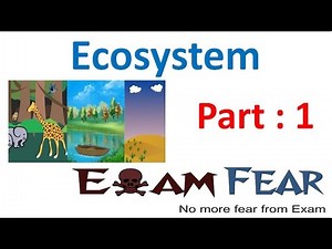 Biology Ecosystem part 1 (Introduction) class 12 XII