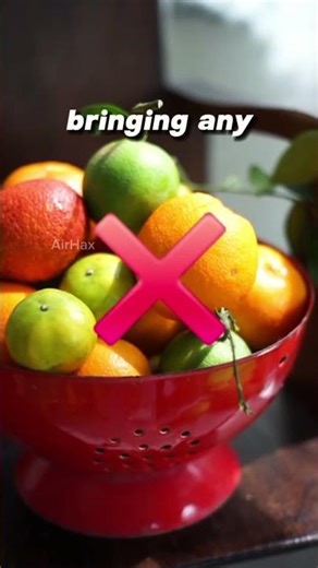 Top 10 Immigration Questions EVERY Traveler Gets (Must Know!)