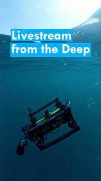 This Underwater Camera Can Livestream from 1,600 Feet Deep