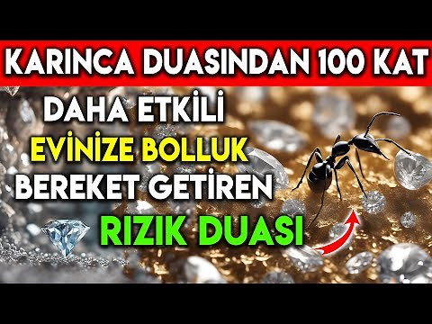 KARINCA DUASINDAN 100 KAT DAHA ETKİLİ EVİNİZE BOLLUK, BEREKET GETİREN RIZIK DUASI