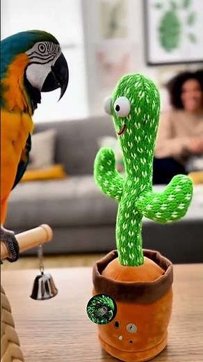 Talking Parrot vs Cactus Repeat Talk Toy