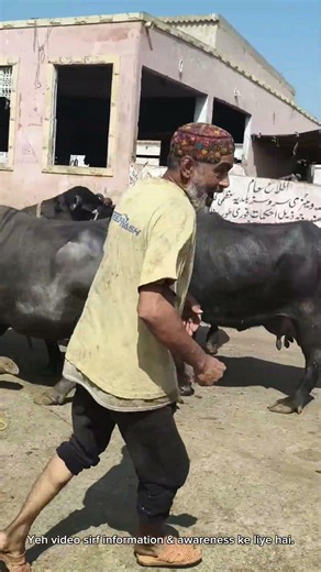 Har Roz Ka Yehi Scene 🔥 | Slaughter House Routine