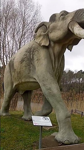 Steppe mammoth #animals #mammoth #extinctanimals #jurassicworld #jurassicpark