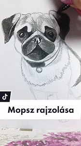 Következő kutyaszerű rajzod: Mopsz rajzolás lépésről lépésre
